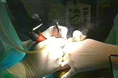 MEDICINA (4)  IMAGEN FOTOGRAFIA  77 